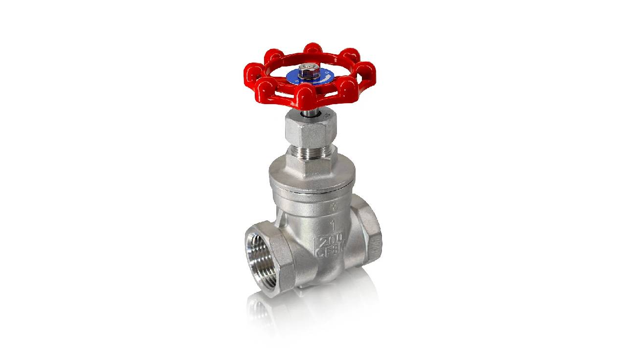 Globe Valves