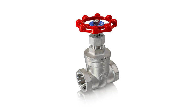 Globe Valves