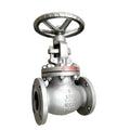 Cast Steel Flanged Globe Valve